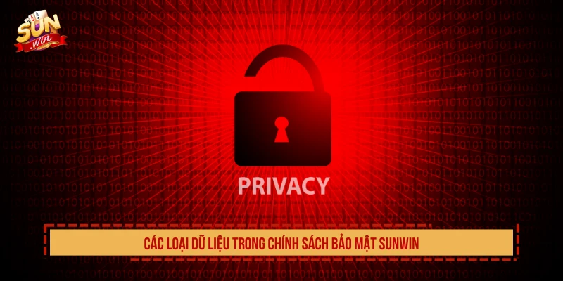Các loại dữ liệu trong chính sách bảo mật SUNWIN