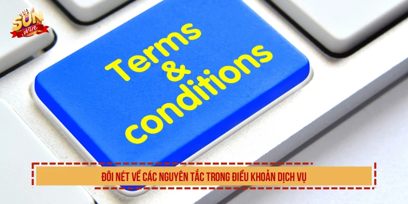 Đôi nét về các nguyên tắc trong điều khoản dịch vụ