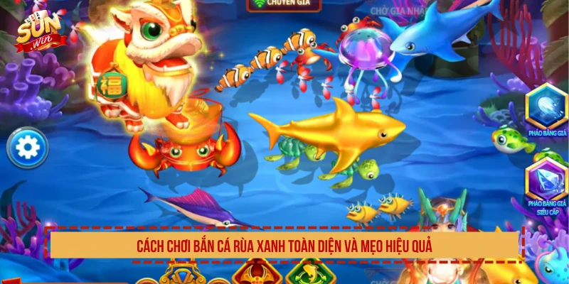 Cách Chơi Bắn Cá Rùa Xanh Toàn Diện Và Mẹo Hiệu Quả