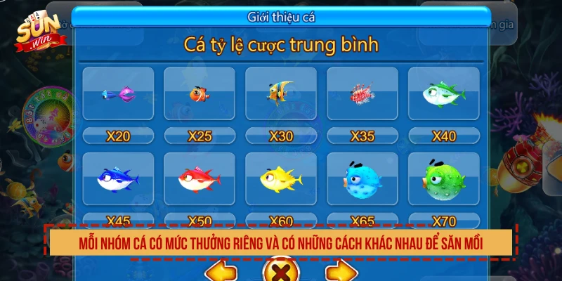 Mỗi nhóm cá có mức thưởng riêng và có những cách khác nhau để săn mồi