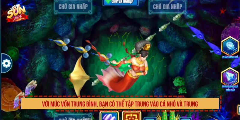 Với mức vốn trung bình, bạn có thể tập trung vào cá nhỏ và trung